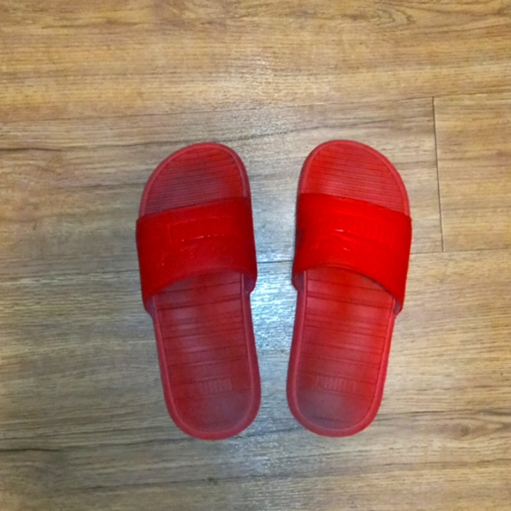 Puma slides